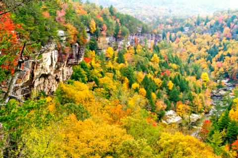 Obed Wild & Scenic River