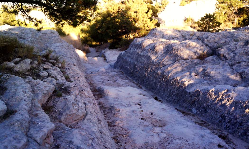 A wagon swale is cut deep into limestone rock with trees in background.