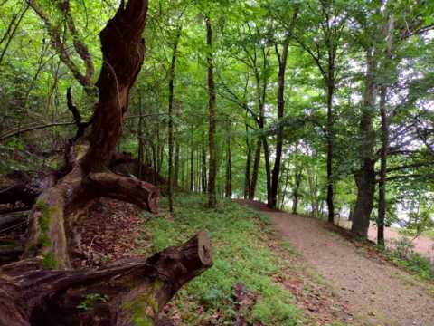 Overmountain Victory National Historic Trail