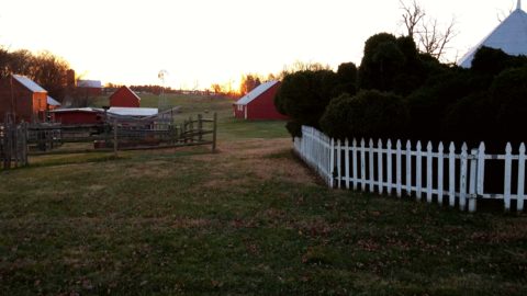 Oxon Cove Park & Oxon Hill Farm