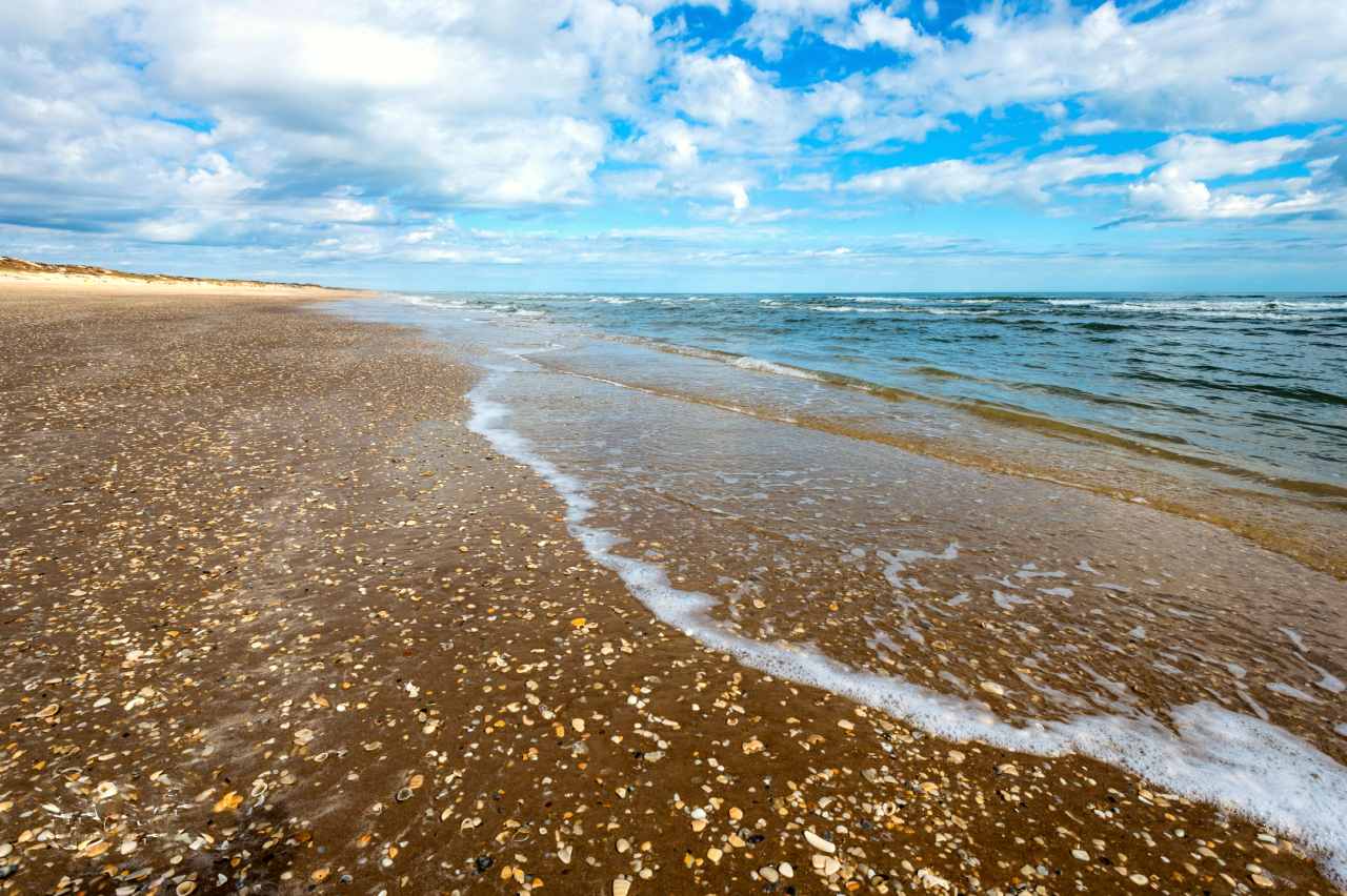 Small shell fragments in the sand long the beach.