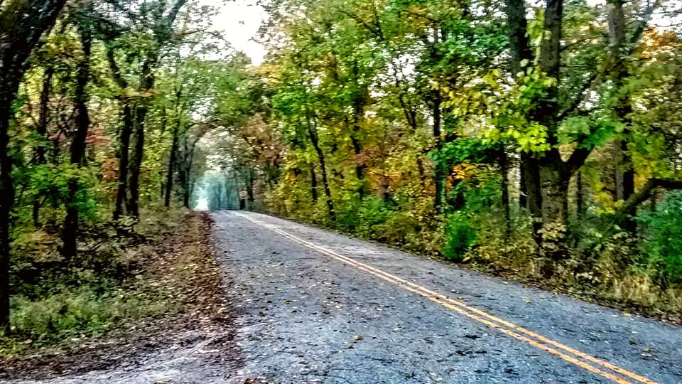 Photo of road with trees on both sides of road. Trees have Fall Foliage