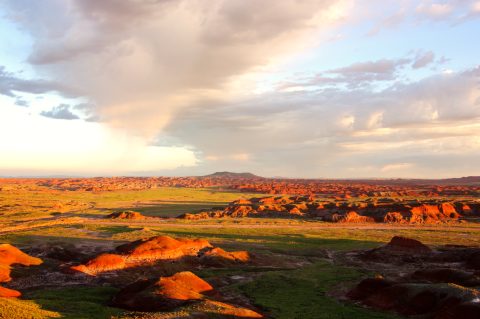 Petrified Forest National Park