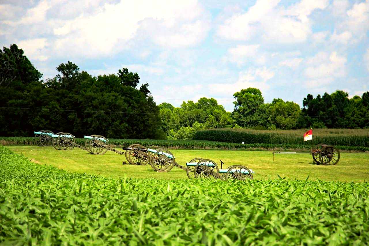 Five weathered, bronze Civil War cannons, lined up side-by-side in a grassy field.