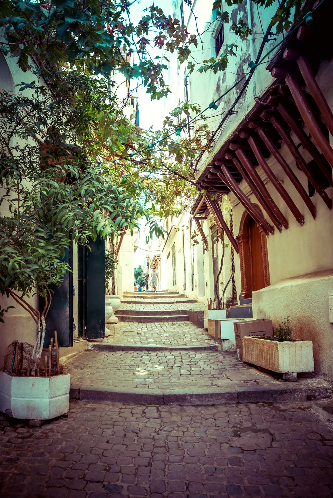 Explore the winding streets of Algiers