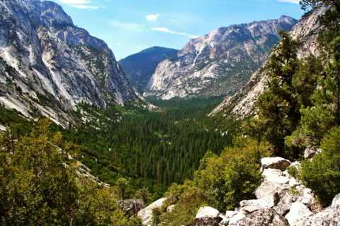 Sequoia & Kings Canyon National Parks