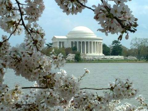 Thomas Jefferson Memorial