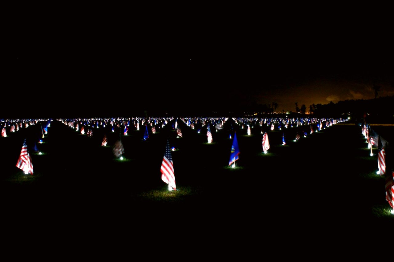 Night view of light up US flags.