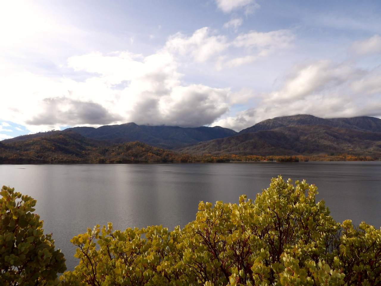 Blue-gray waters of lake with green shrub in foreground, mountains and clouds in background.