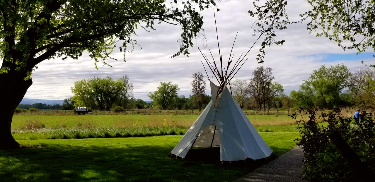 A tipi sits beneath a tree near a walking trail