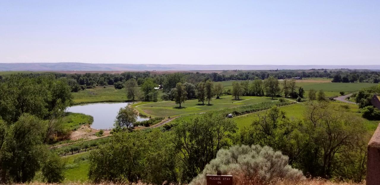 View from above looking down at green fields, a pond, and mountains in the distance