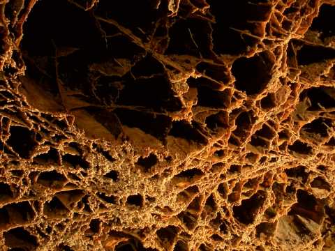 Wind Cave National Park