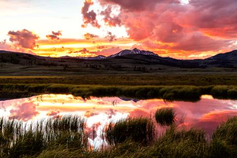 Yellowstone National Park
