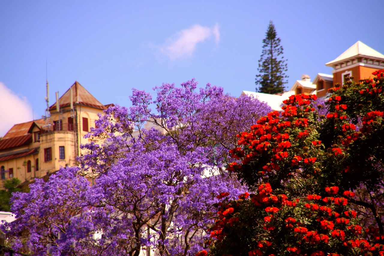 Madagascar