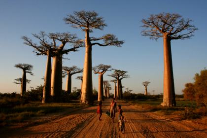 Madagascar