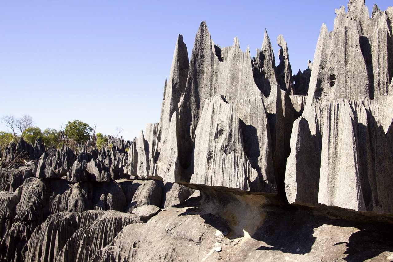 Madagascar