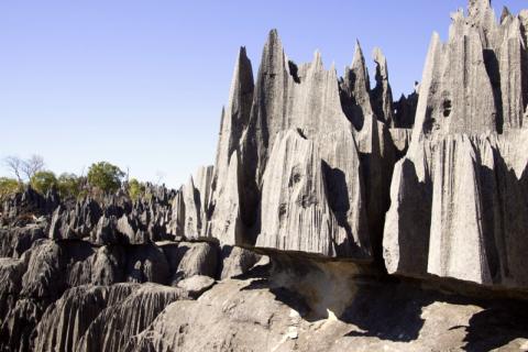 Madagascar