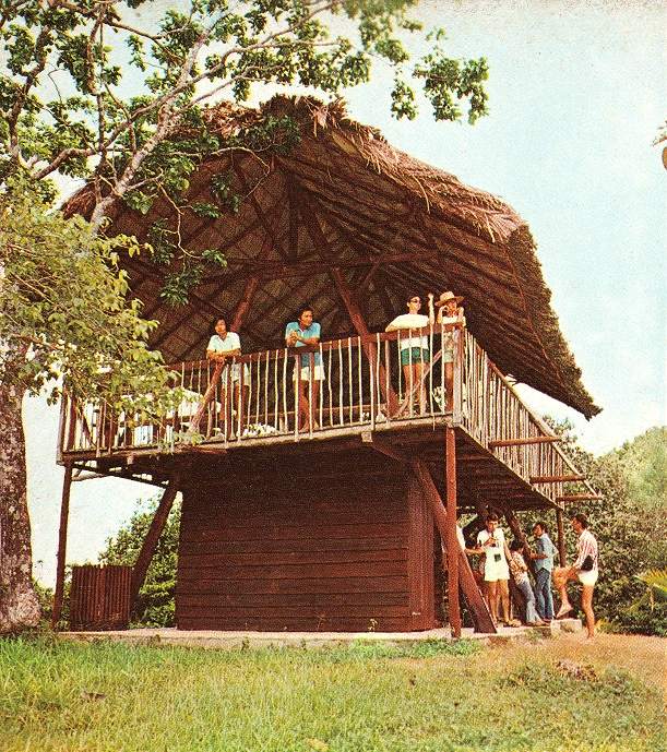 Tourists on the viewing lodge for Vallée de Mai on the island of Praslin, Seychelles (1970s)