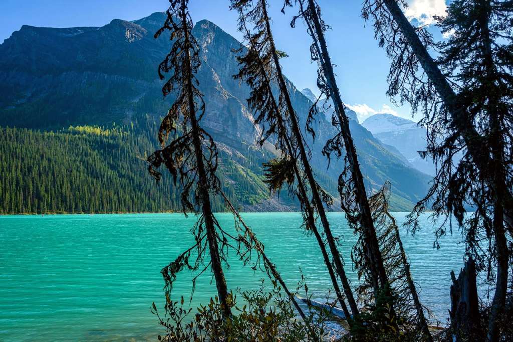 Lake Louise