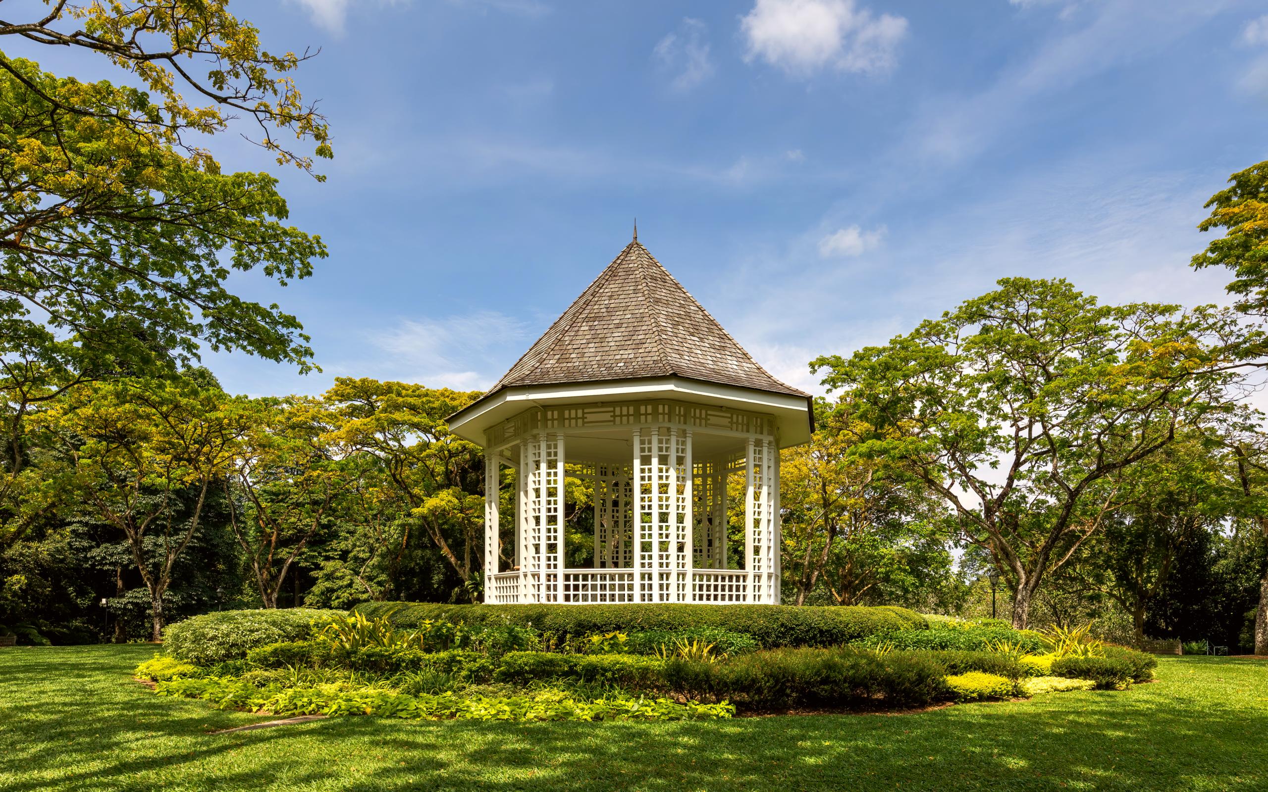 A peaceful retreat in the city