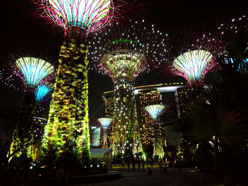 Supertrees at Gardens by the Bay, at night.
