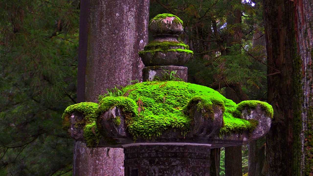 Nikko