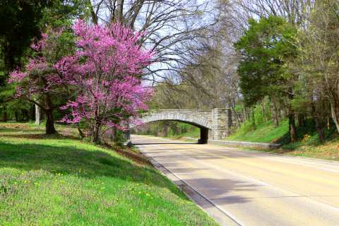 George Washington Memorial Parkway