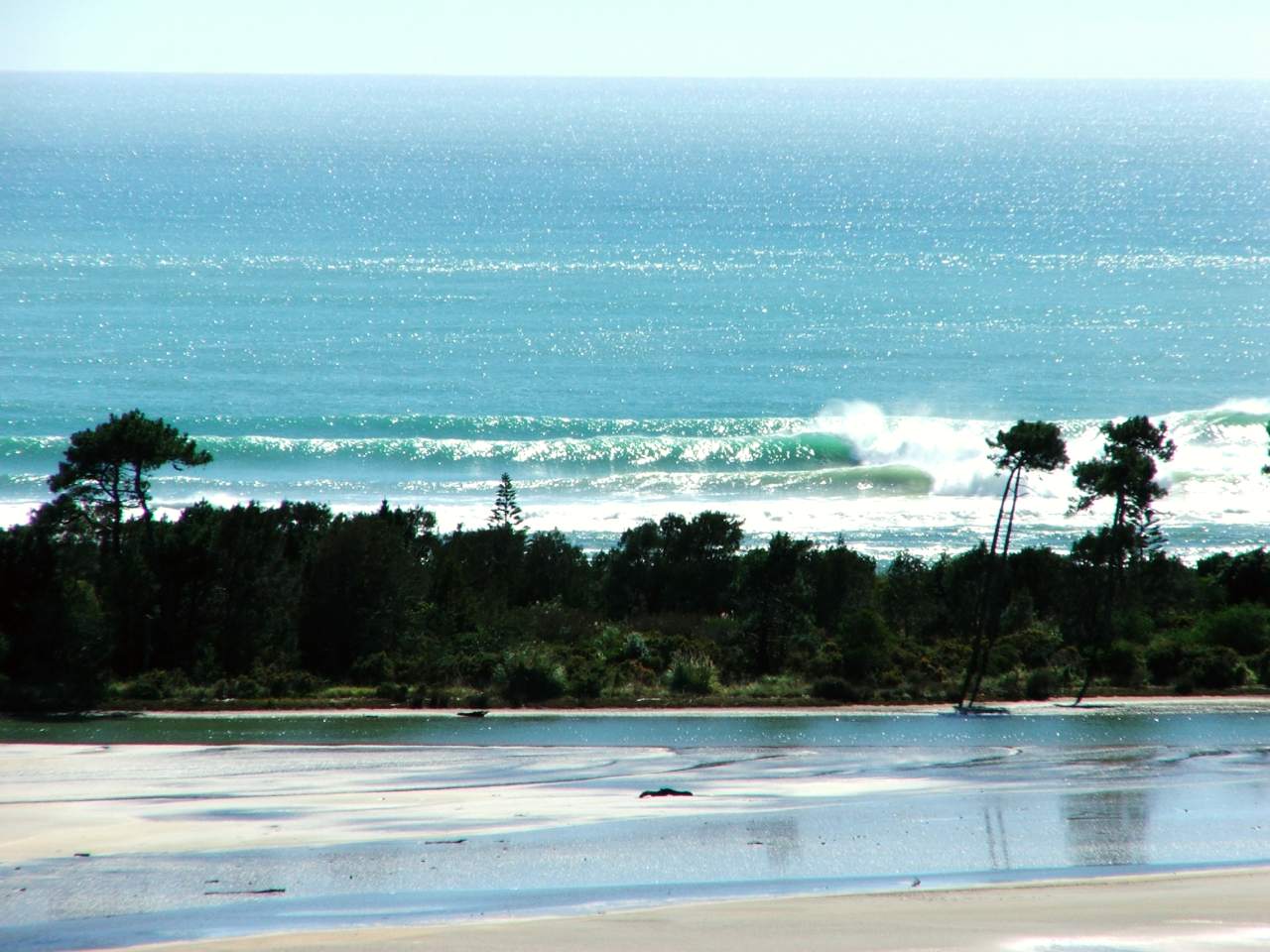 Bay of Plenty