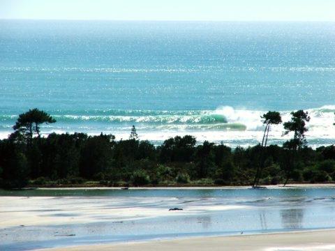 Bay of Plenty