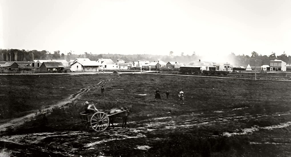Palmerston North