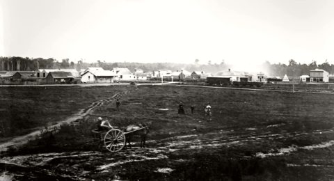 Palmerston North