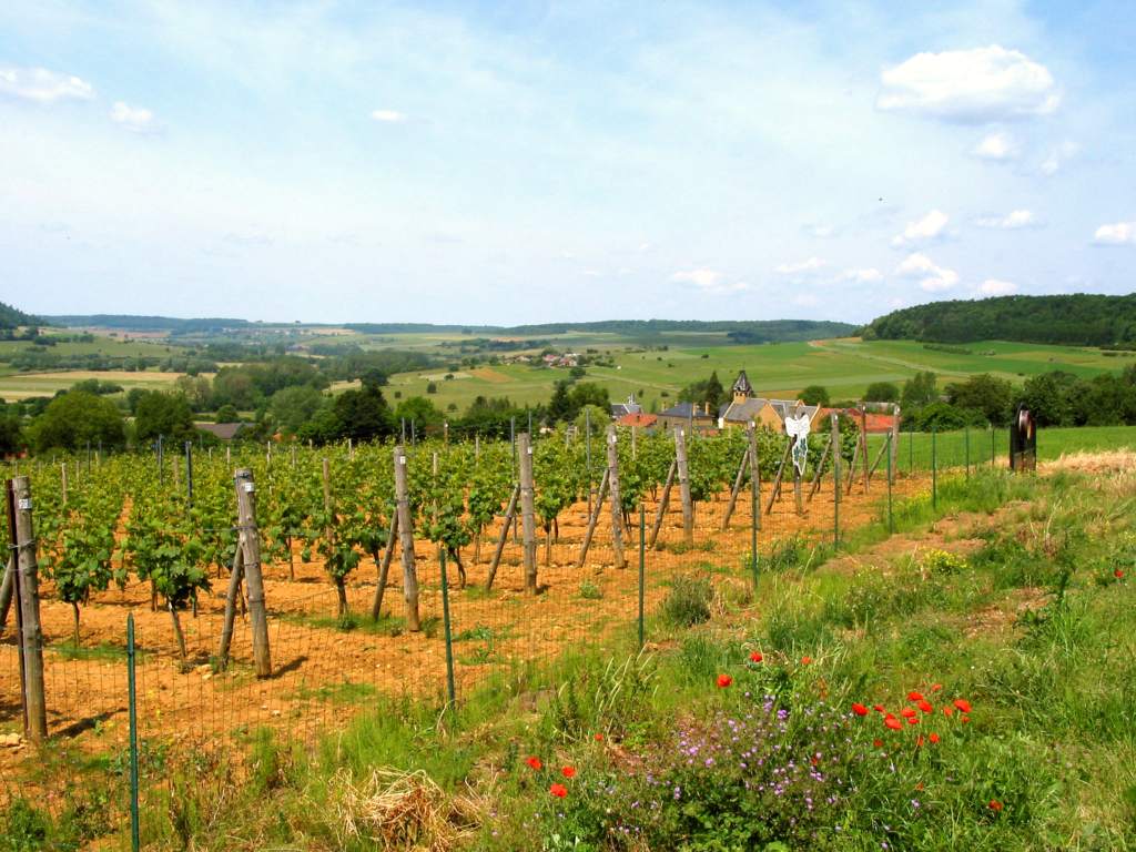 Lokales Essen und Trinken - Hageland