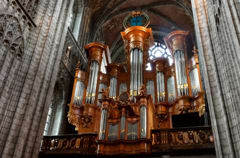 Mons