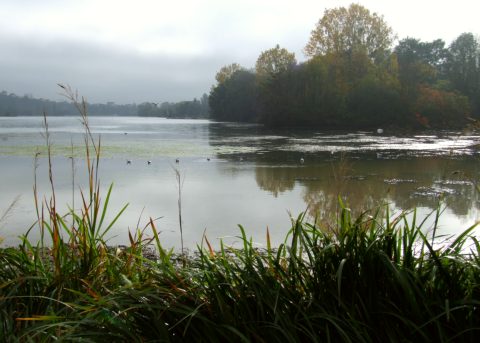 Lac Kir