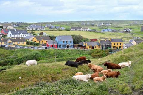 Doolin