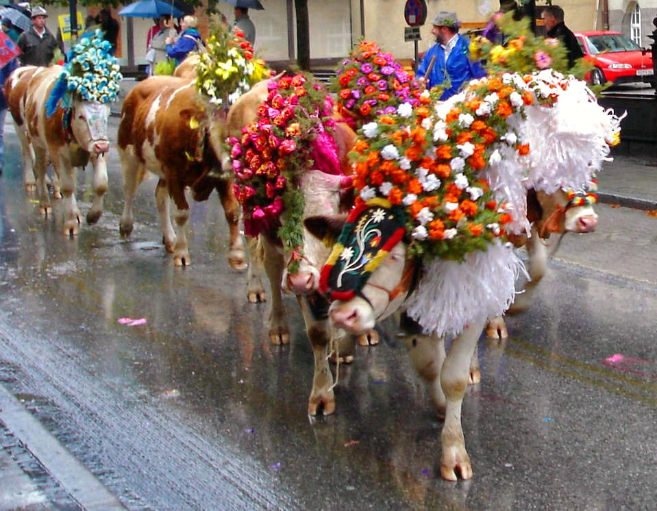Lokale Traditionen - Tyrol