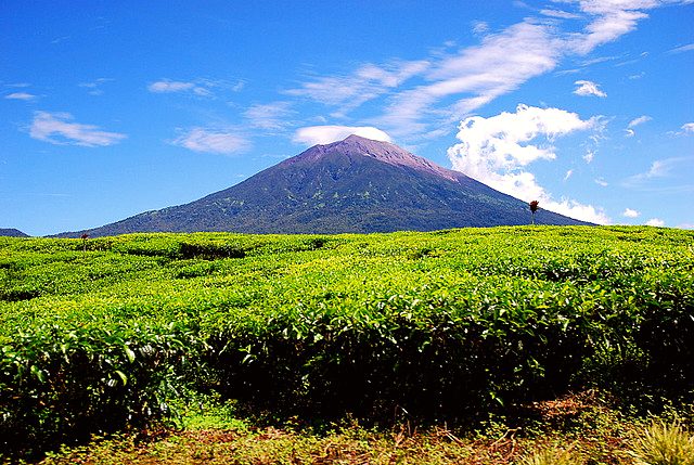 Kerinci Seblat National Park
