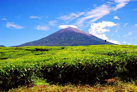 Kerinci Seblat National Park