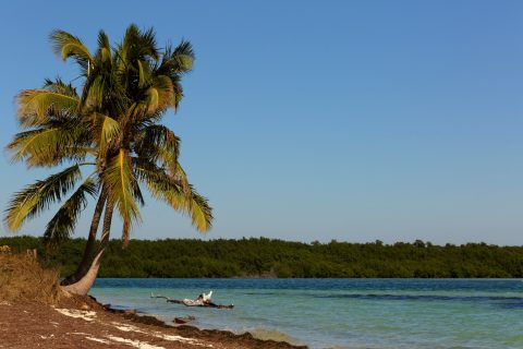 Bahia Honda State Park