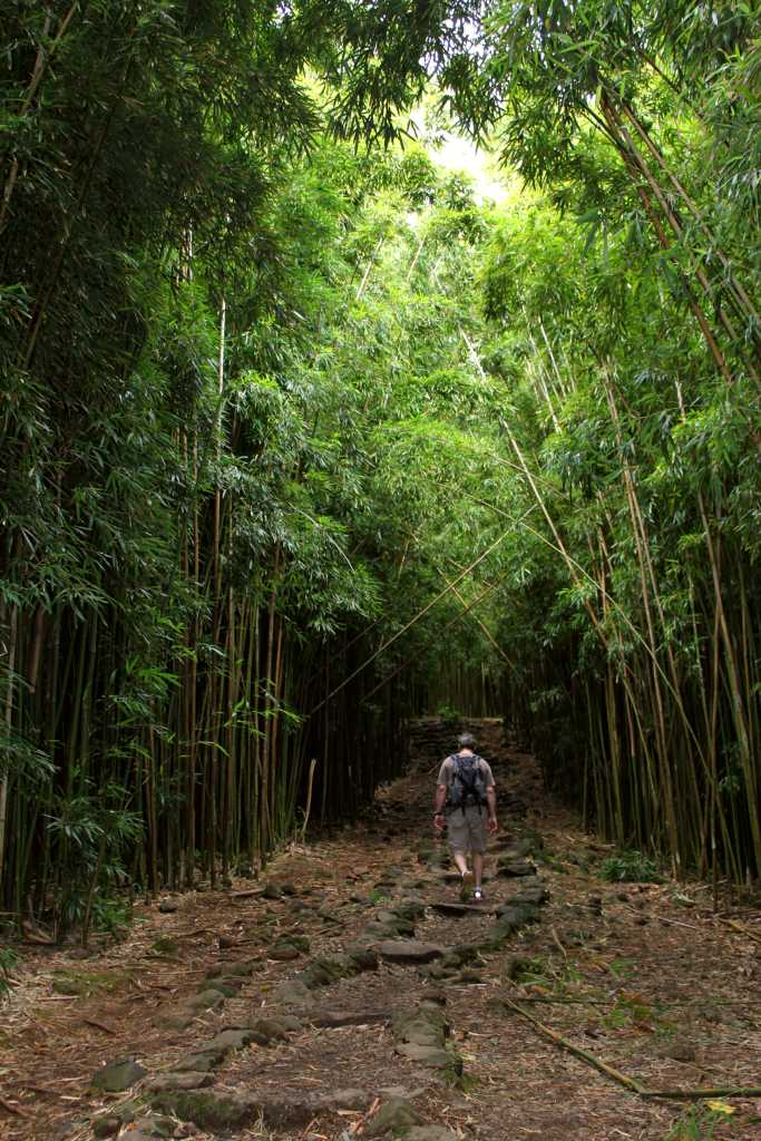 Pipiwai Trail