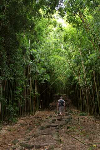 Pipiwai Trail