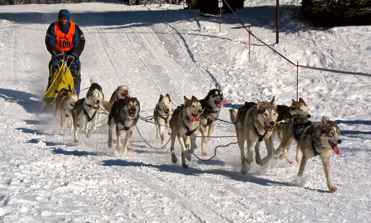 Lokale Traditionen - Denali National Park