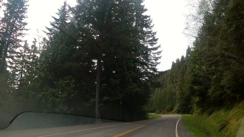 Hurricane Ridge