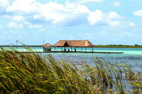 Bacalar