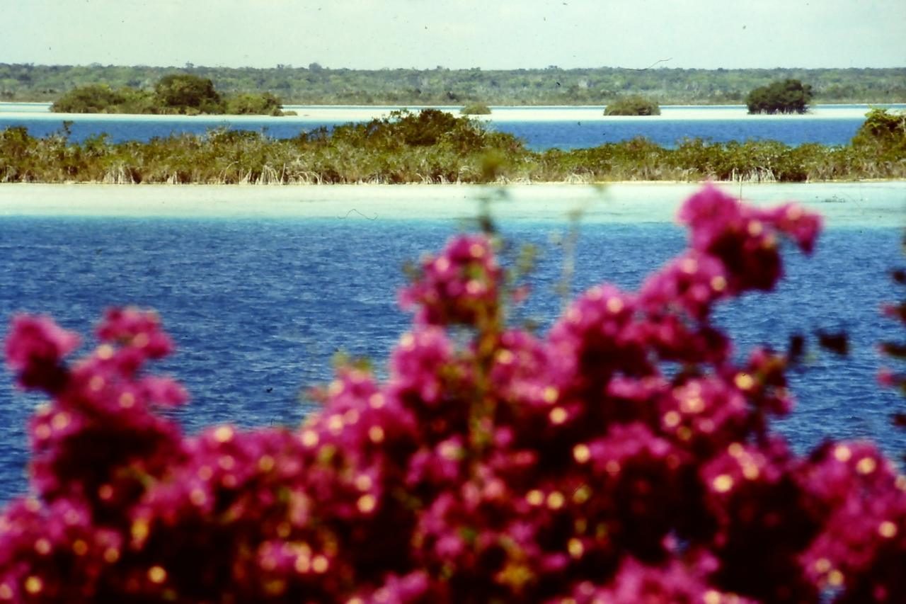 Laguna de Bacalar