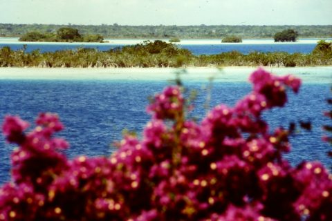 Laguna de Bacalar