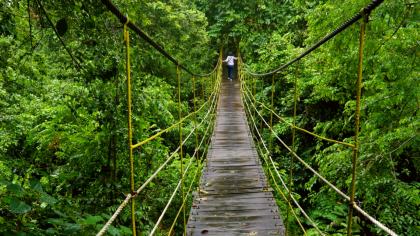 Kutai National Park