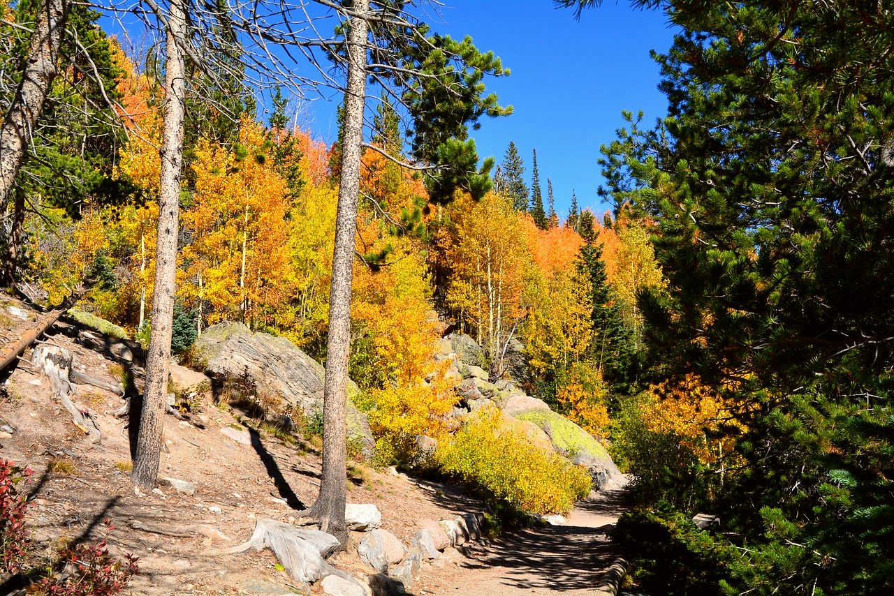 Colorado Rockies Road Trip