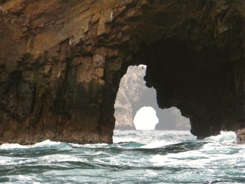 Paracas