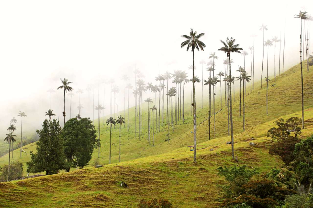 Quindío
